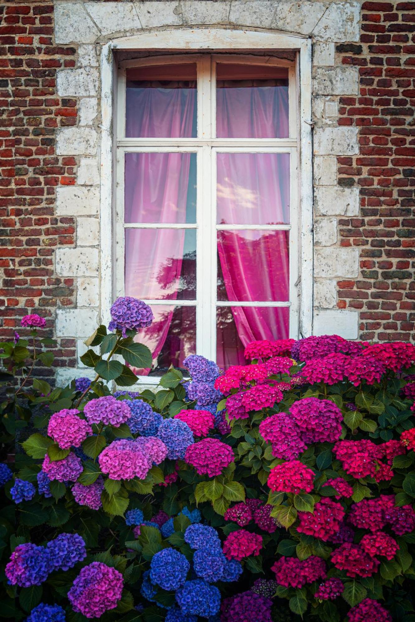 Chambres D'Hotes & Gites Du Chateau De Grand Rullecourt Exterior photo