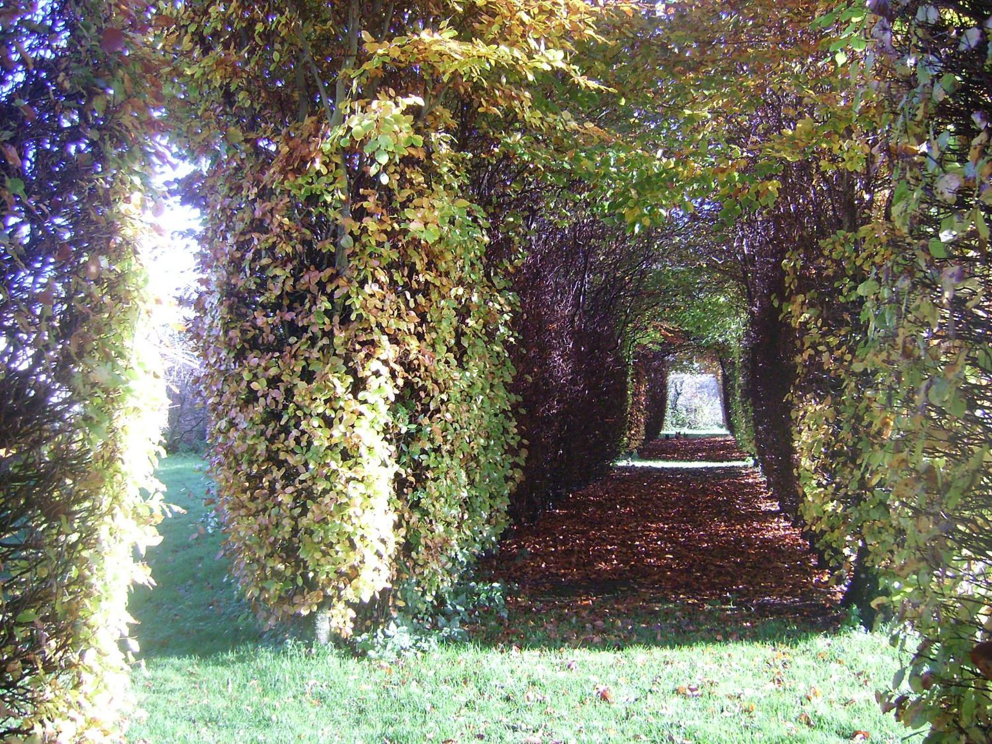 Chambres D'Hotes & Gites Du Chateau De Grand Rullecourt Exterior photo